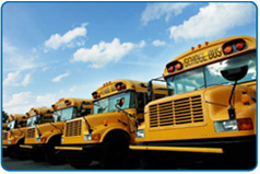 School Buses
